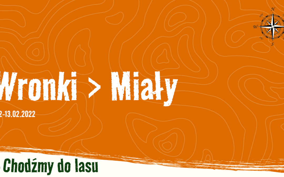 Wronki > Maciejewo > Miały