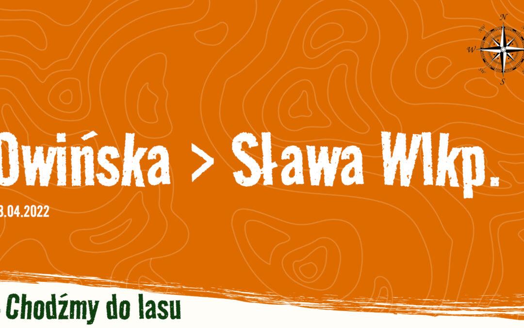 Owińska > Sława Wielkopolska