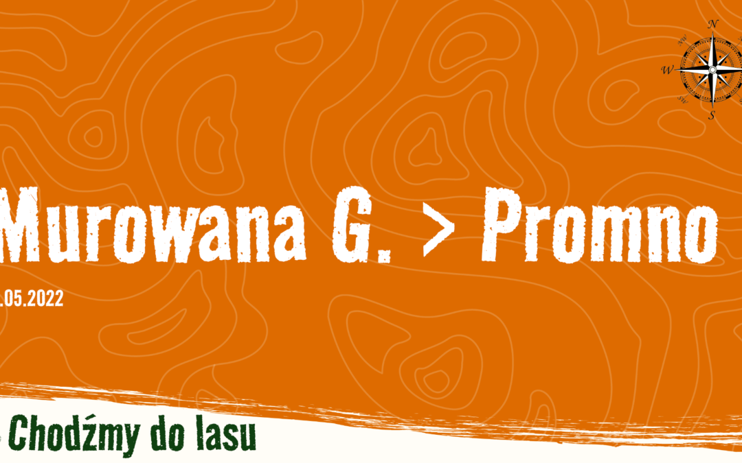 Murowana Goślina > Promno